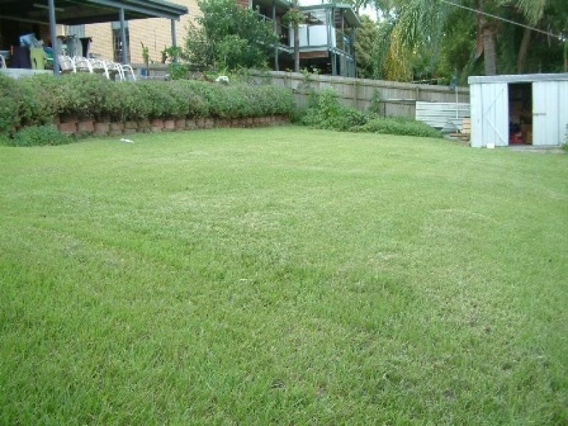 16 Bairnsdale Court, Helensvale QLD 4212