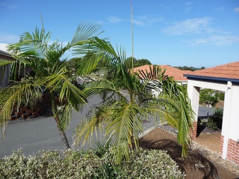 16/8A Clydesdale Drive, Upper Coomera QLD 4209