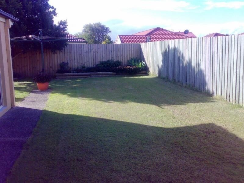 14 River Meadows Drive, Upper Coomera QLD 4209