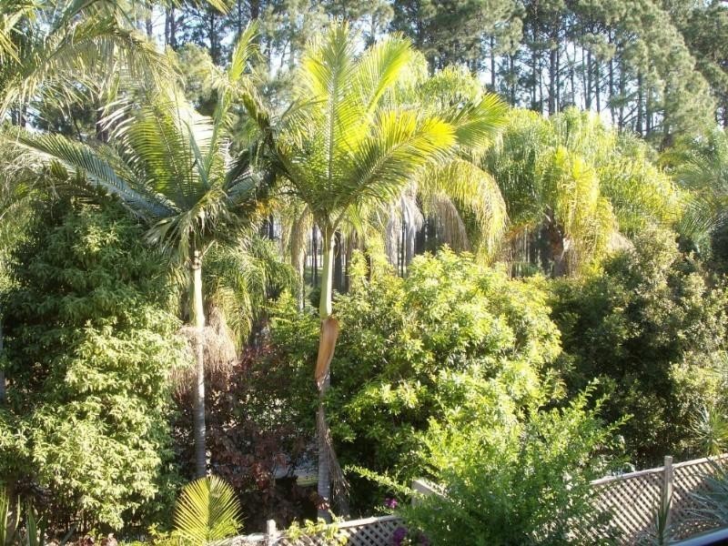 5/60 Caseys Road, Hope Island QLD 4212