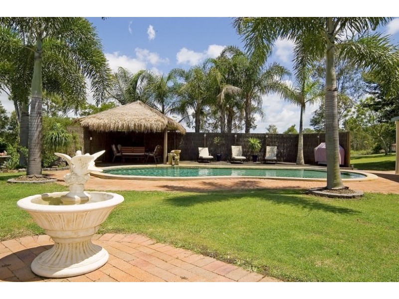 45 Rivertree Avenue, Helensvale QLD 4212