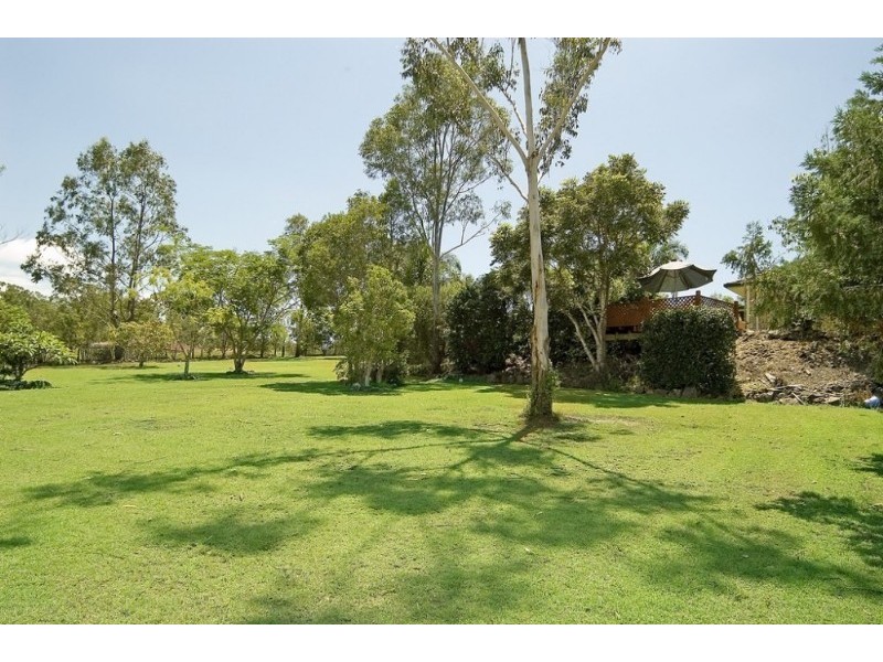 45 Rivertree Avenue, Helensvale QLD 4212