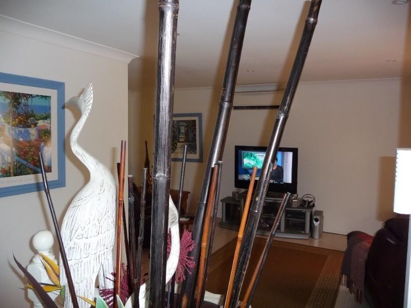 7 Gambier Crescent, Pacific Pines QLD 4211