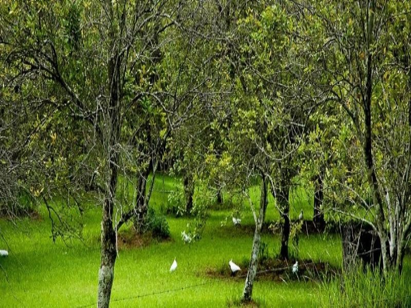 316 Maudsland Road, Maudsland QLD 4210