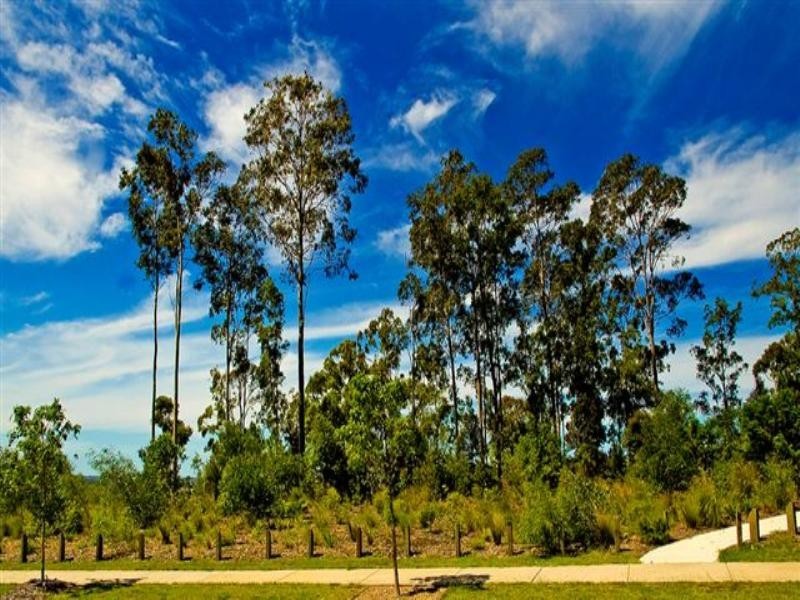 5 Diamantina Circut, Pacific Pines QLD 4211