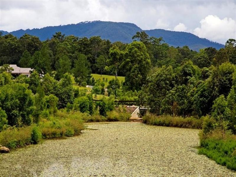 18 Lagoon Park Road, Maudsland QLD 4210