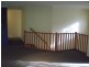Pacific Pines QLD 4211