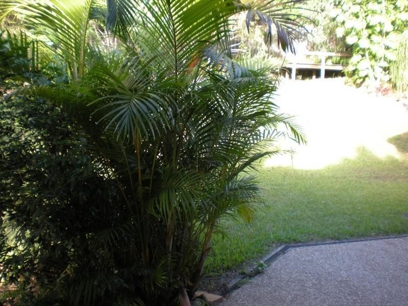 Pacific Pines QLD 4211