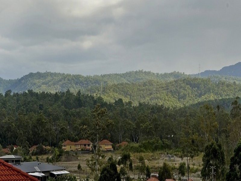 19 Kite Circuit, Arundel QLD 4214