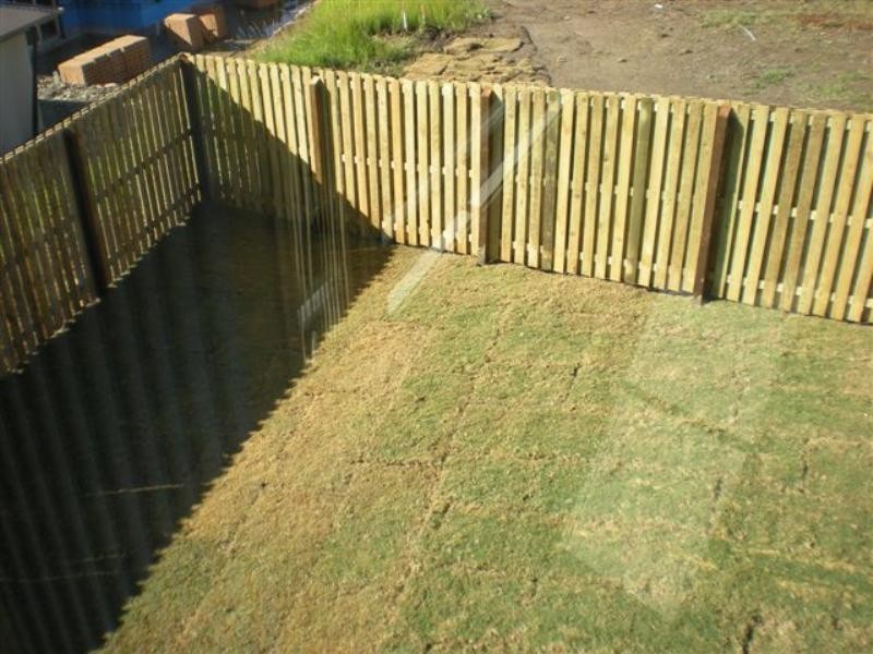 17 Harriet Lane, Oxenford QLD 4210