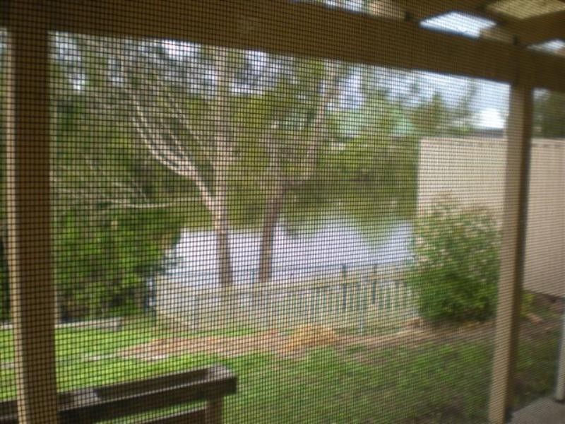 21 River Oak Drive, Helensvale QLD 4212
