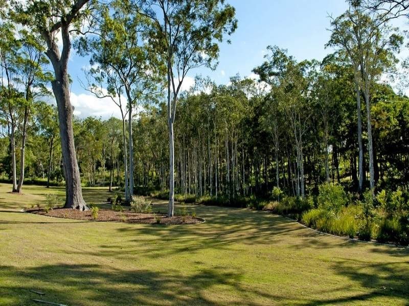 61 Picnic Creek Drive, Coomera QLD 4209
