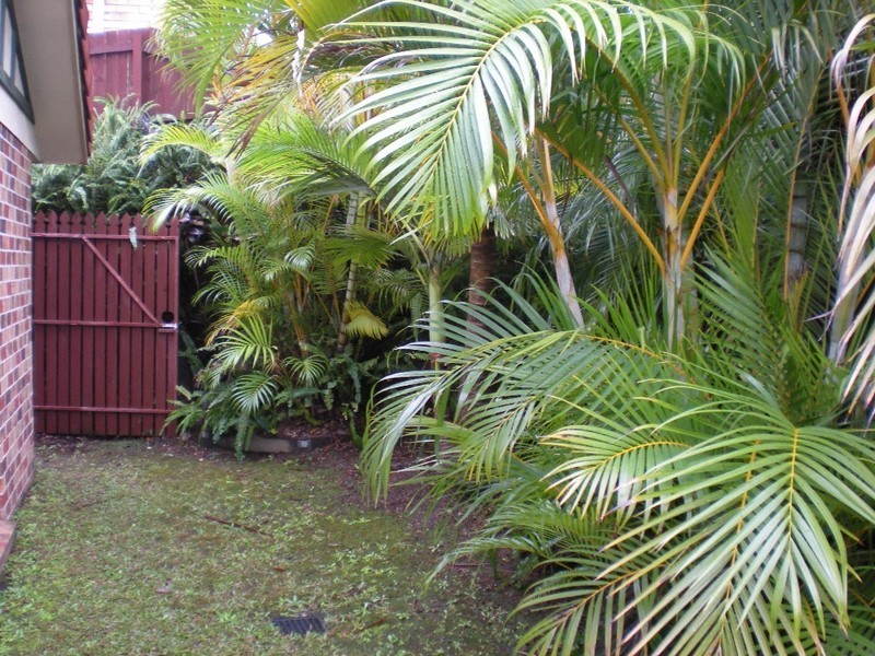 5 Greenridge Street, Oxenford QLD 4210