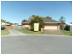 7 Hollyfern Court, Oxenford QLD 4210