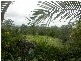 Gaven QLD 4211