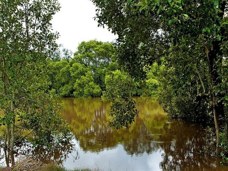 38 Riverdowns Crescent, Helensvale QLD 4212