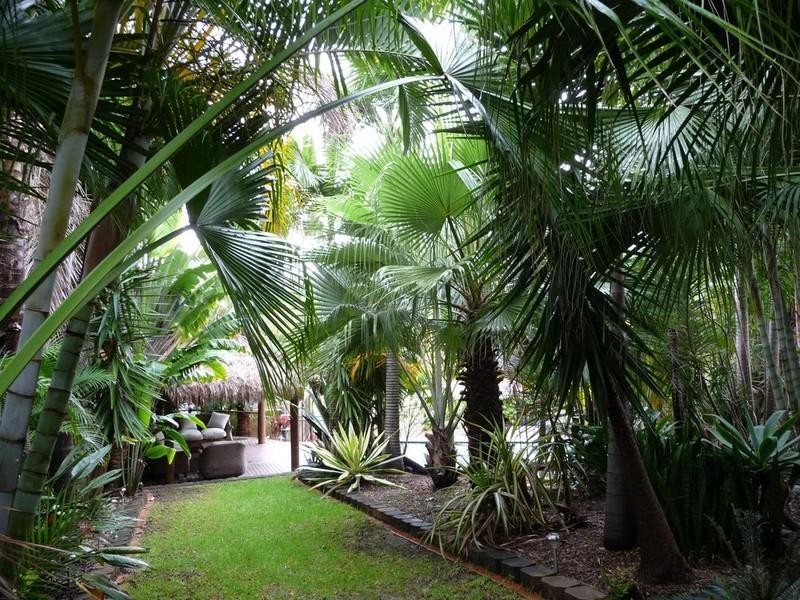 26 Polynesia Avenue, Pacific Pines QLD 4211
