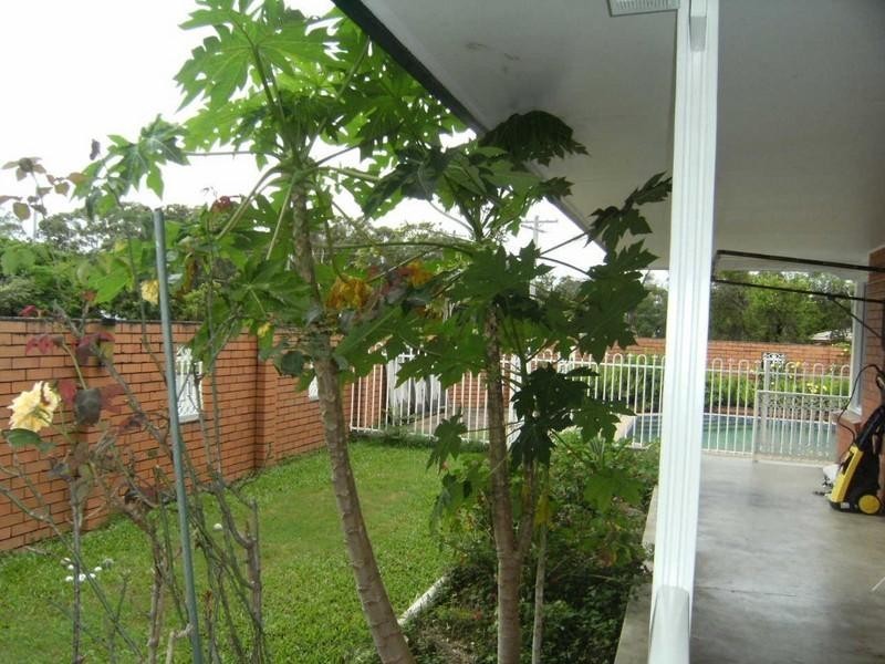 16 Jippi Avenue, Southport QLD 4215