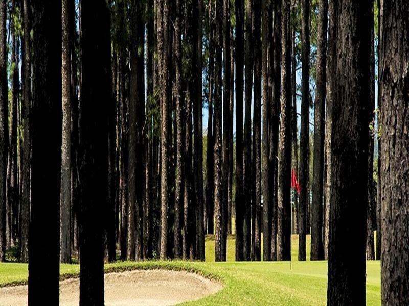 3/60 Caseys Road, Hope Island QLD 4212