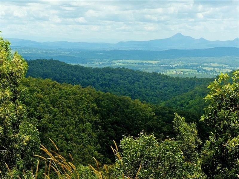 1684 Tamborine-Oxenford Road, Wongawallan QLD 4210