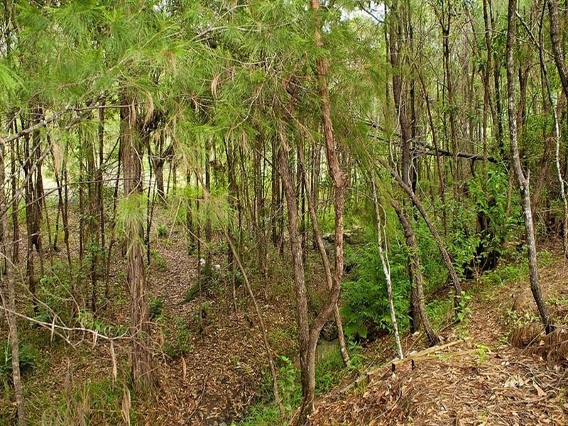 22 Mulwala Street, Maudsland QLD 4210