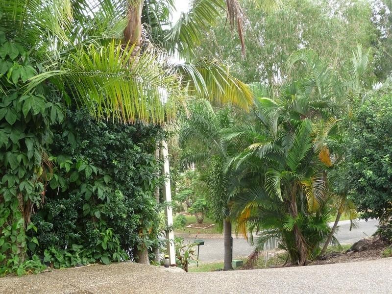 11 Gilpin Court, Upper Coomera QLD 4209