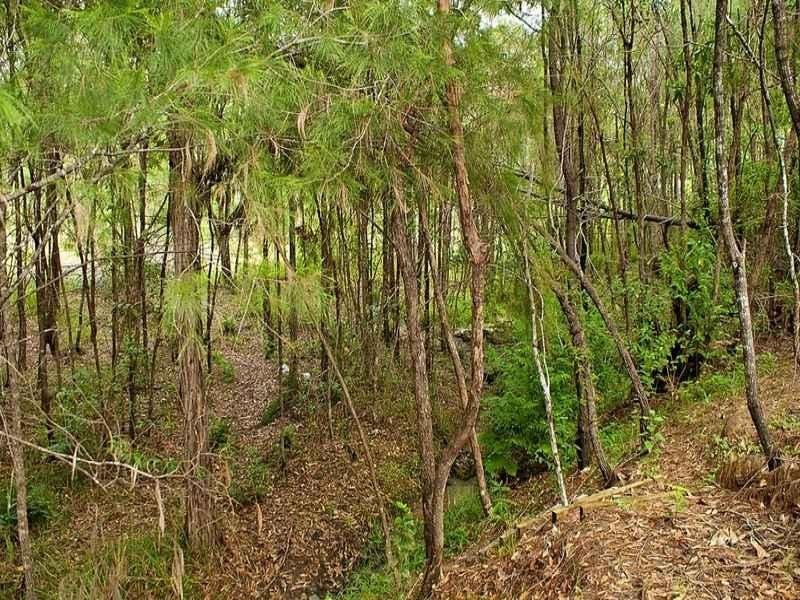 22 Mulwala Street, Maudsland QLD 4210