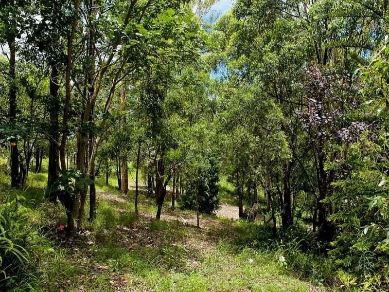 1684 Tamborine-Oxenford Road, Wongawallan QLD 4210