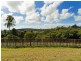 Lot 978 Fletcher Crescent, Pacific Pines QLD 4211