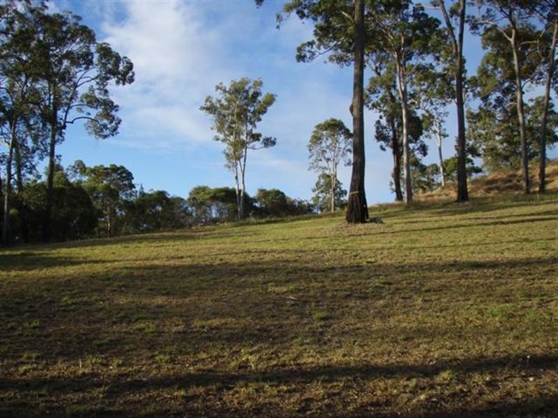 37 Pendragon Drive, Coomera QLD 4209