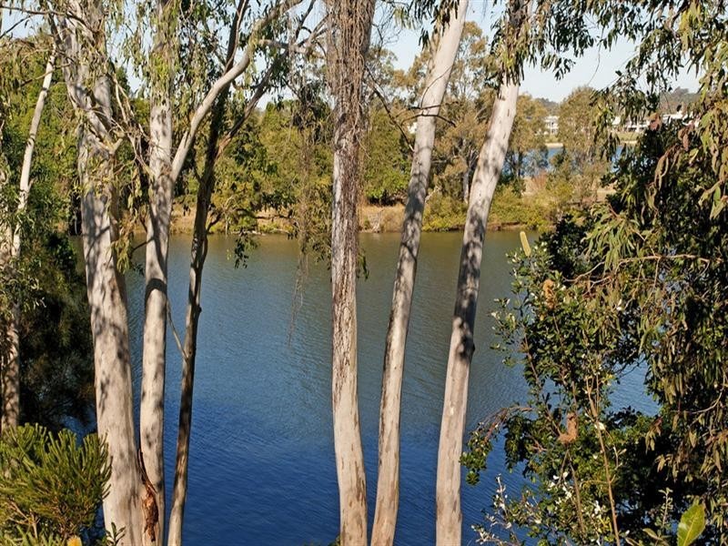 60 River Meadows Drive, Upper Coomera QLD 4209