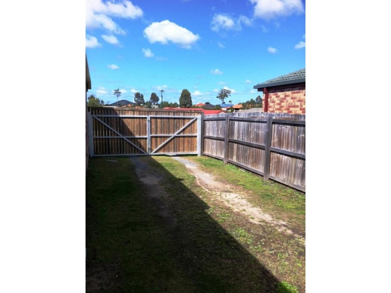 58 Glentree Avenue, Upper Coomera QLD 4209