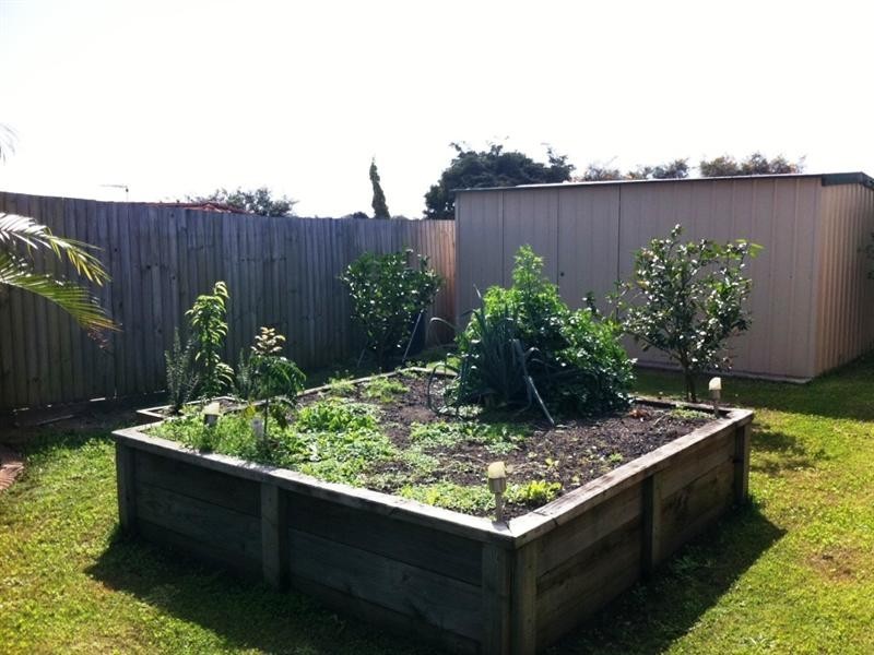 58 Glentree Avenue, Upper Coomera QLD 4209