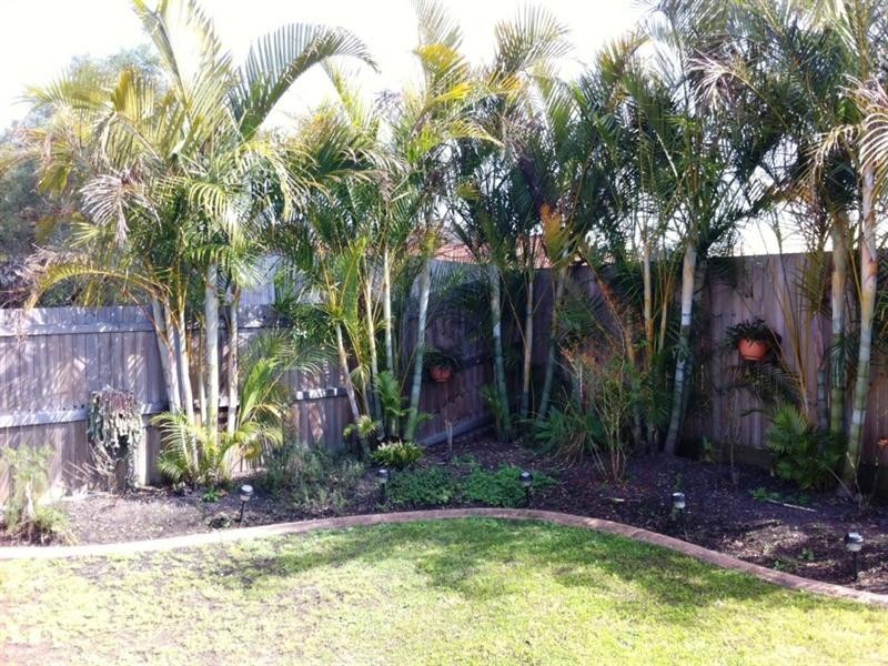 58 Glentree Avenue, Upper Coomera QLD 4209