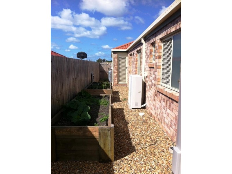 58 Glentree Avenue, Upper Coomera QLD 4209