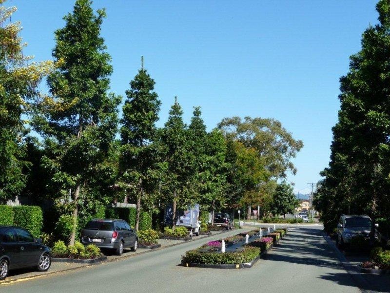 33 T E Peters Drive, Broadbeach Waters QLD 4218