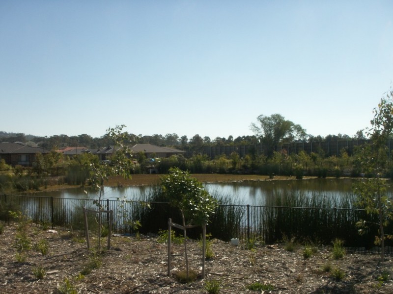 51 The Landings, Upper Coomera QLD 4209