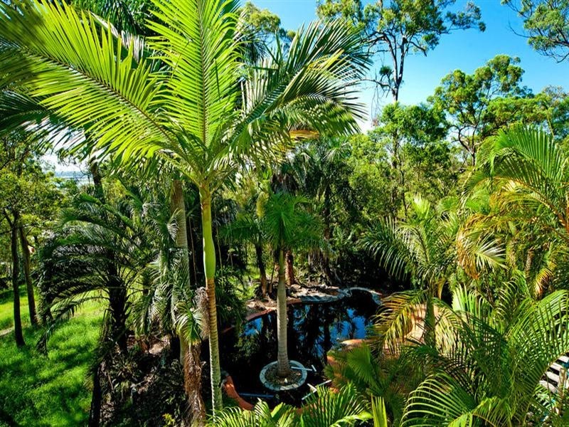 155 Brygon Creek Drive, Upper Coomera QLD 4209