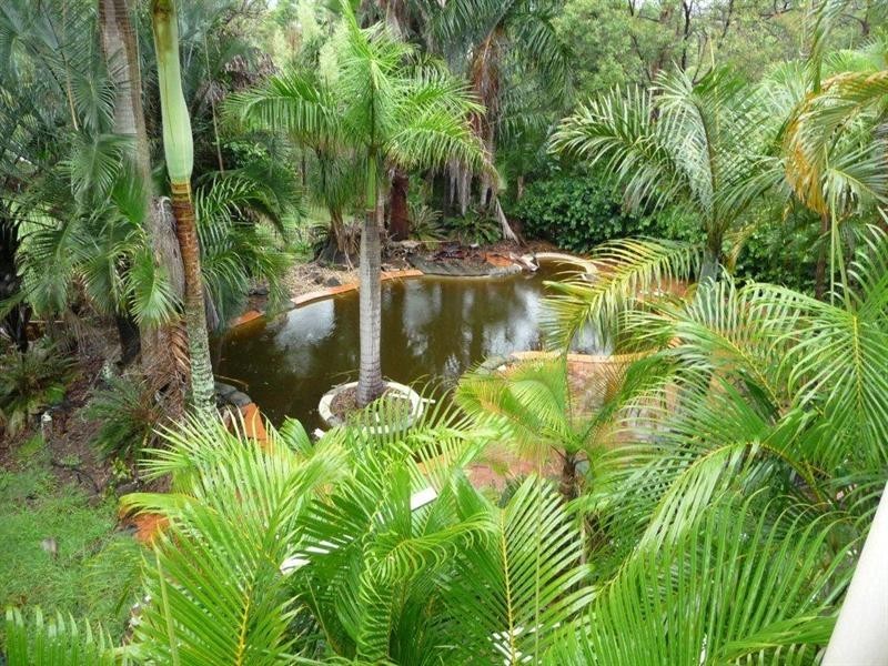 155 Brygon Creek Drive, Upper Coomera QLD 4209