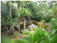 155 Brygon Creek Drive, Upper Coomera QLD 4209