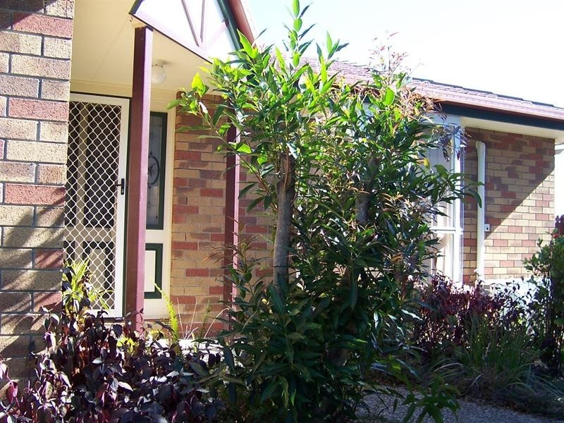 184 Universal Street, Gaven QLD 4211