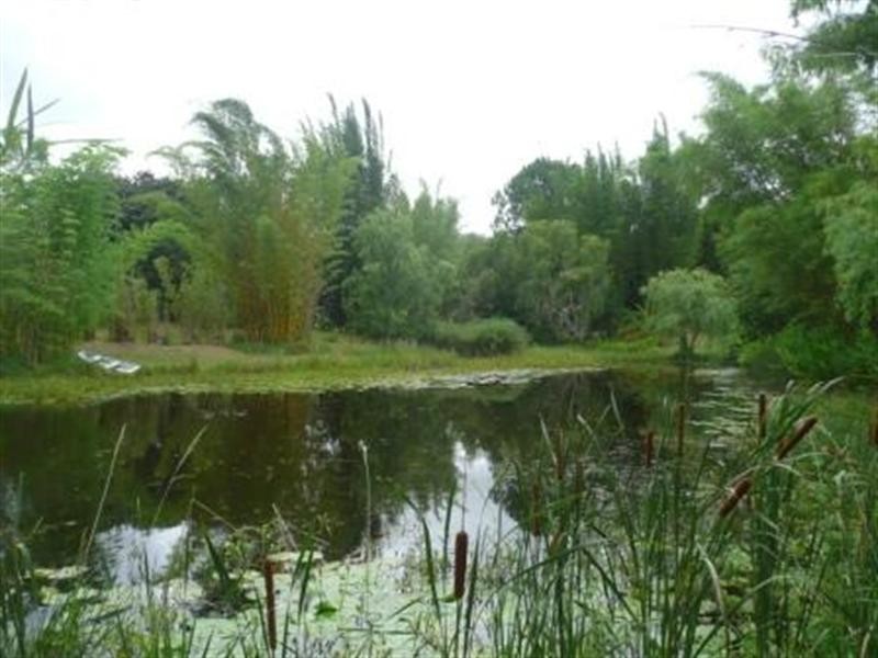 Mount Nathan QLD 4211
