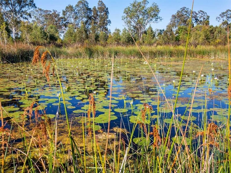 10/7 Bedford Road, Pimpama QLD 4209