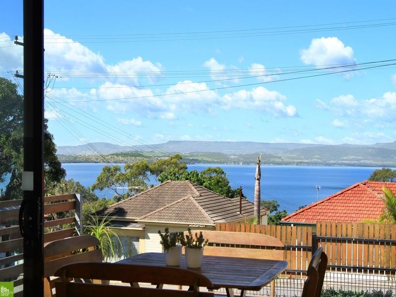 17 Buena Vista Avenue, Lake Heights NSW 2502