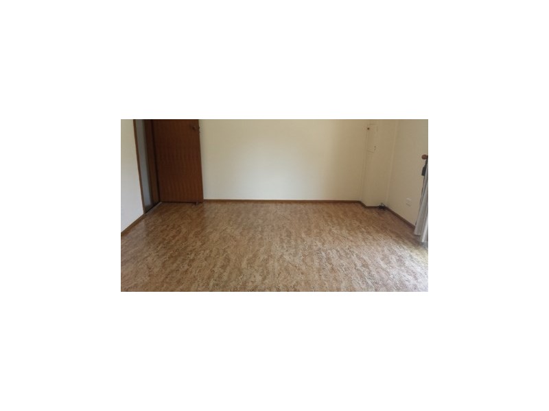 6 Cypress Avenue, Figtree NSW 2525