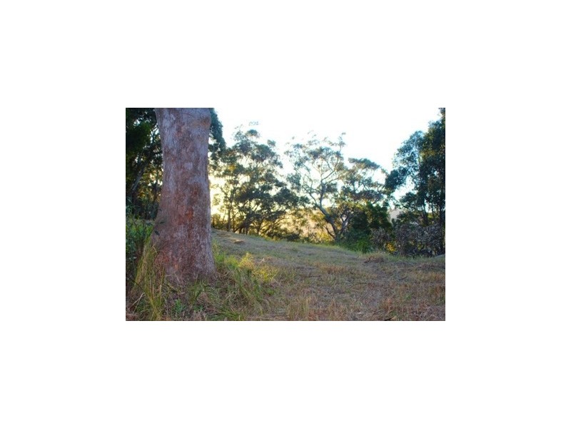 Lot 61 Mungurra Hill Road, Cordeaux Heights NSW 2526