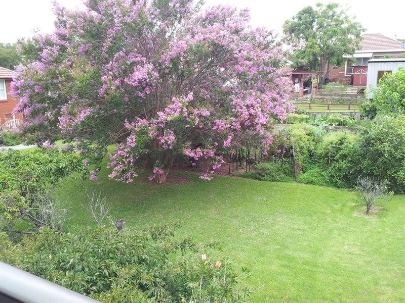 7/14 Foleys Avenue, Gwynneville NSW 2500