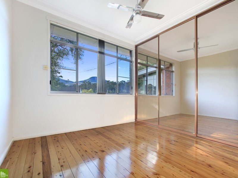 17 Branch Avenue, Figtree NSW 2525