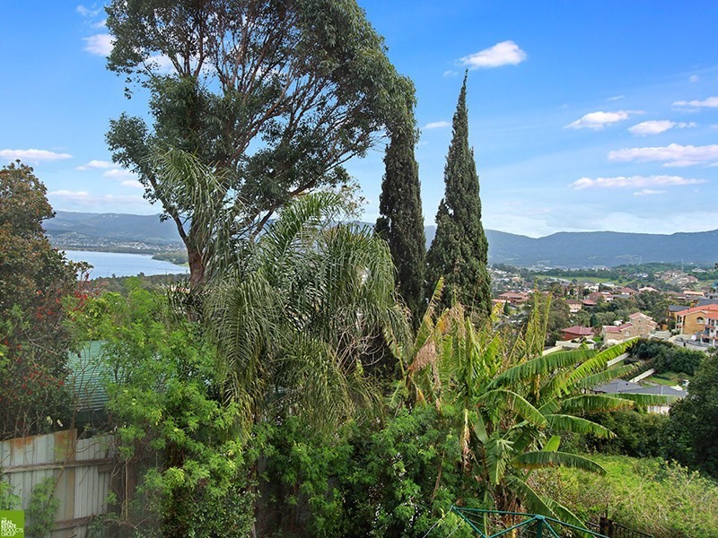 288 Flagstaff Road, Lake Heights NSW 2502