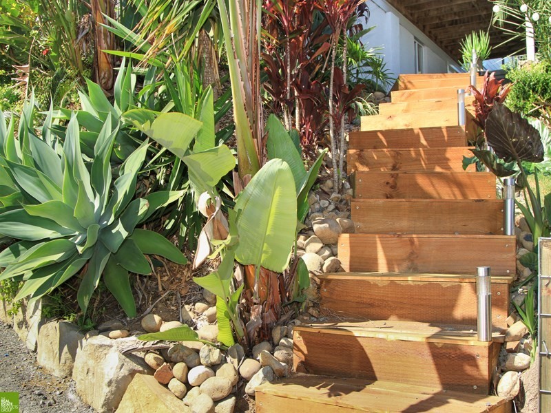 31 Pennant Crescent, Berkeley NSW 2506